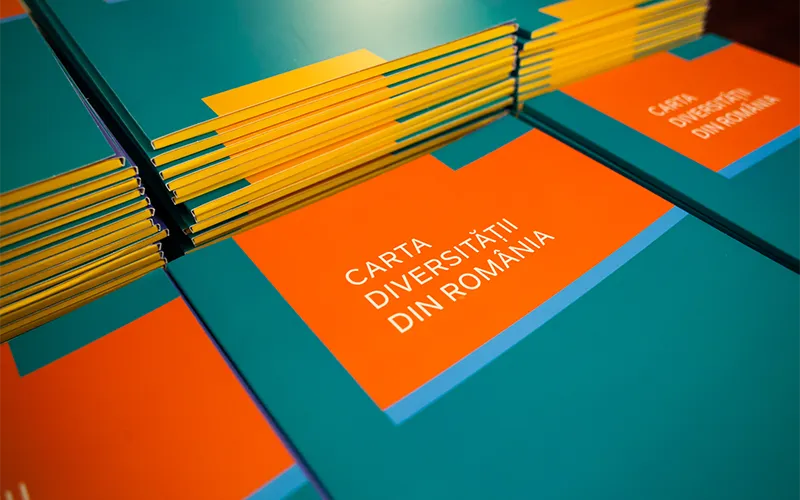 Despre Carta Diversității